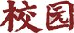 足球竞彩网官网优惠活动副书记黄宝玲